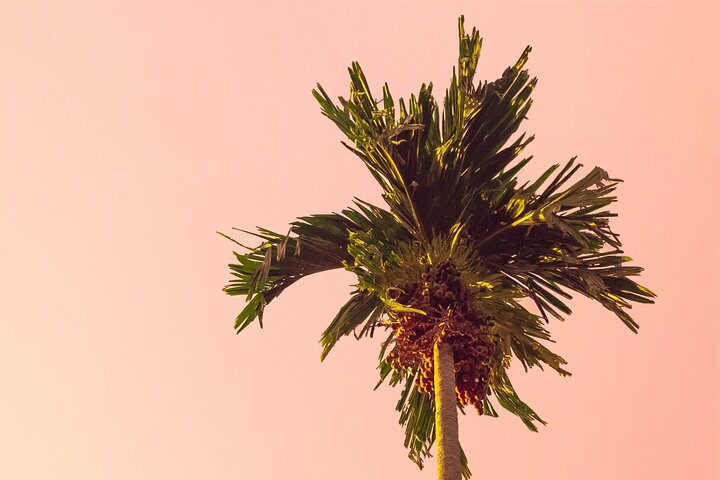 The Legends & Icons Tour of Palm Springs - Photo 1 of 6